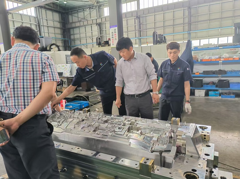 La ricerca dell'eccellenza guadagna elogi: il cliente riconosce vivamente l'accettazione dello stampo IP